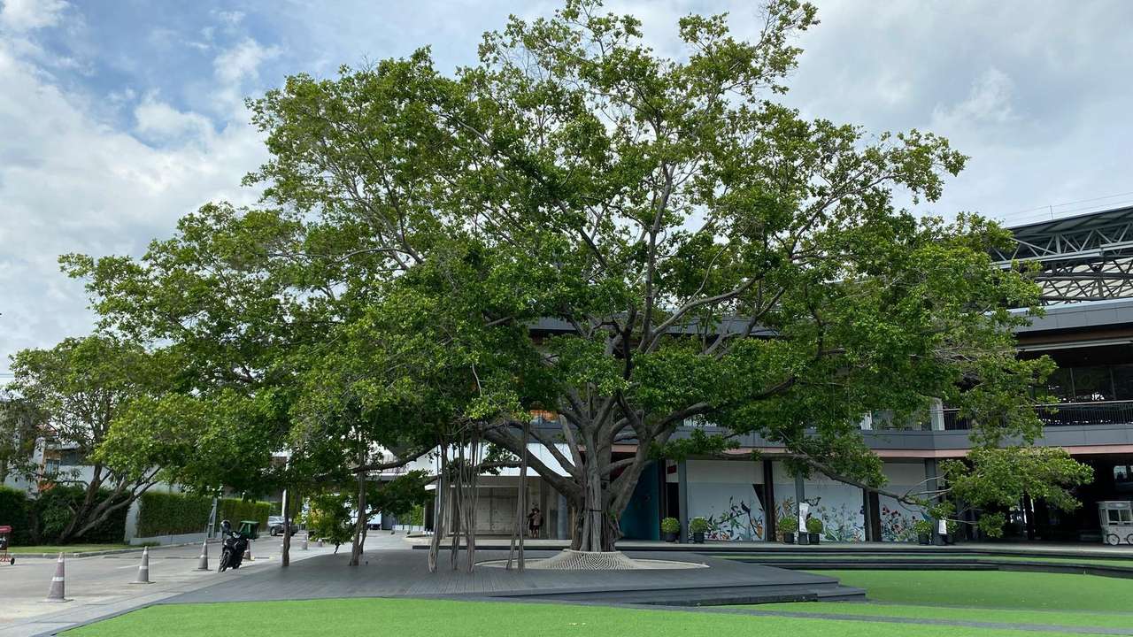 Serene Parks and Green Escapes