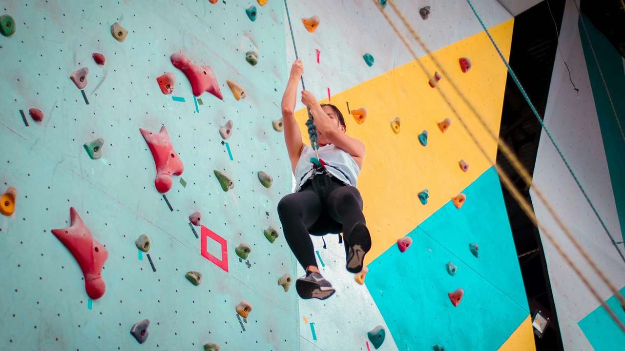 Thrilling Climbing and Adventure Parks