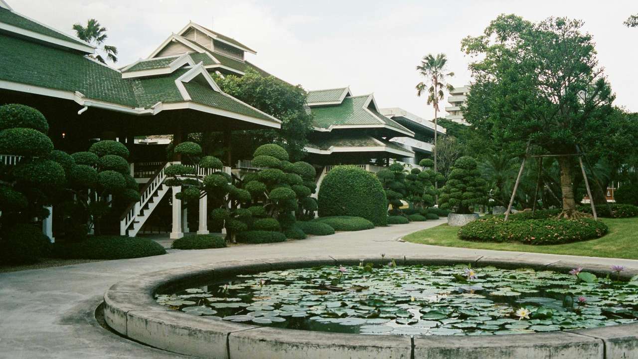 Discover Cultural Treasures in Museums