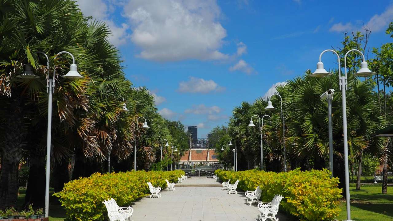 Stroll Through Tranquil City Parks
