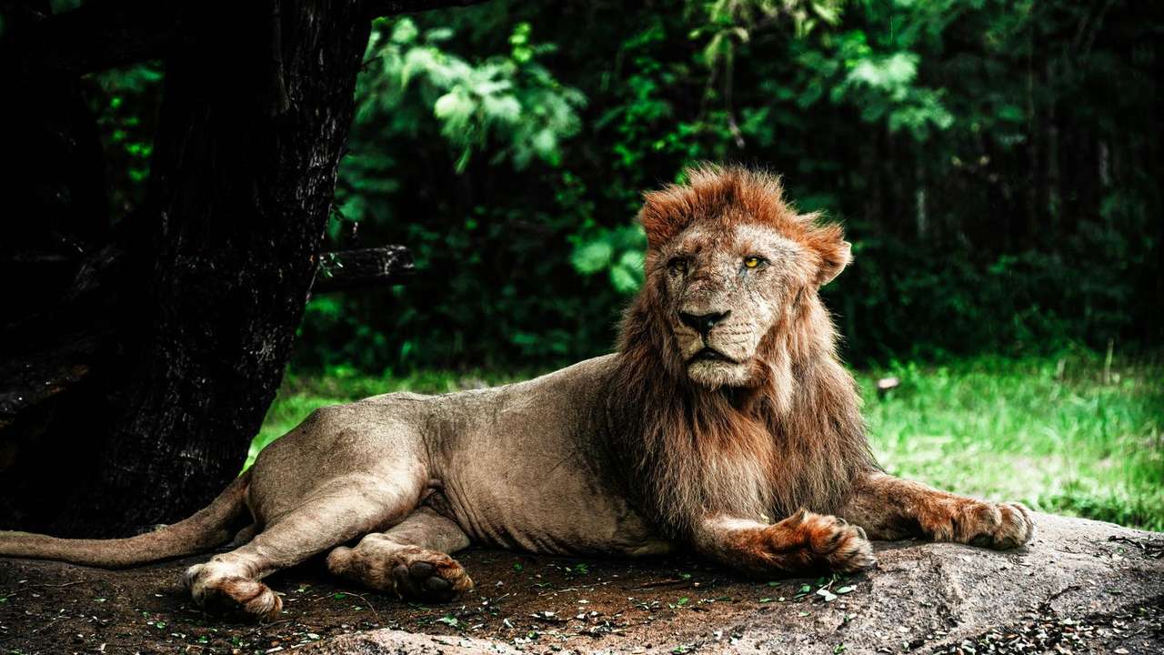 Discover Nature's Wonders and Wildlife