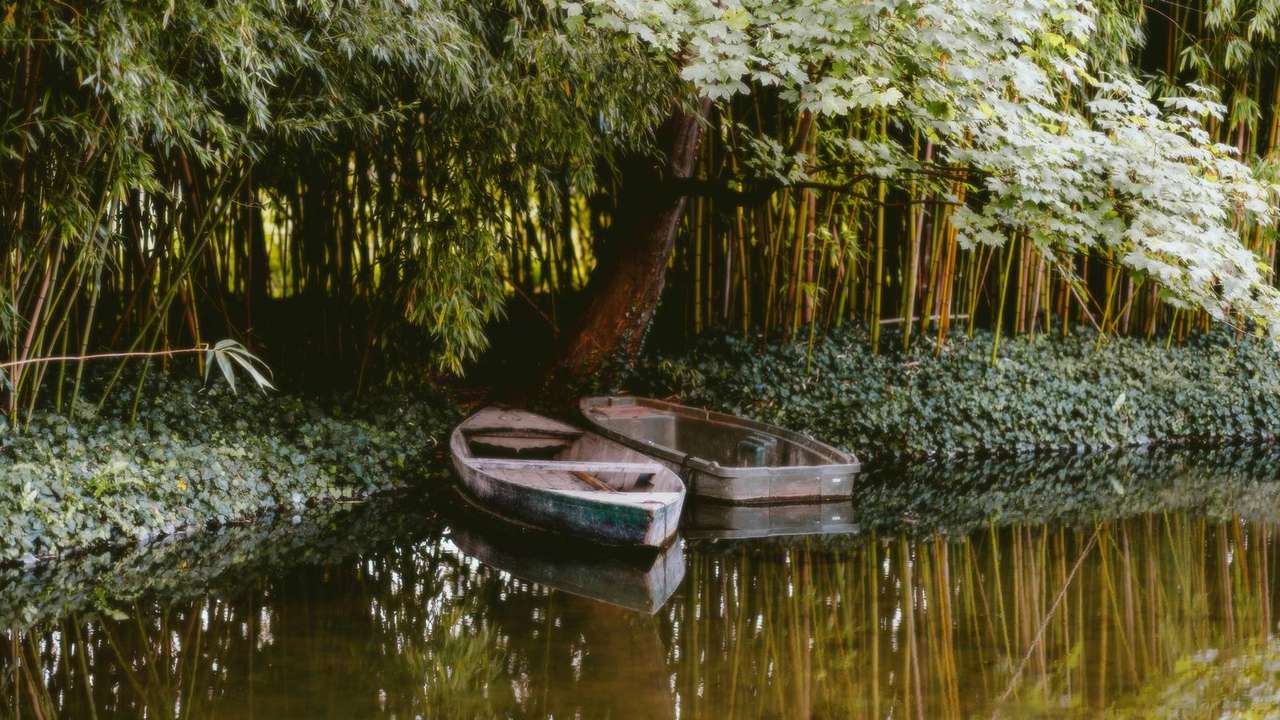 Lush Green Retreats: Escape to Serenity