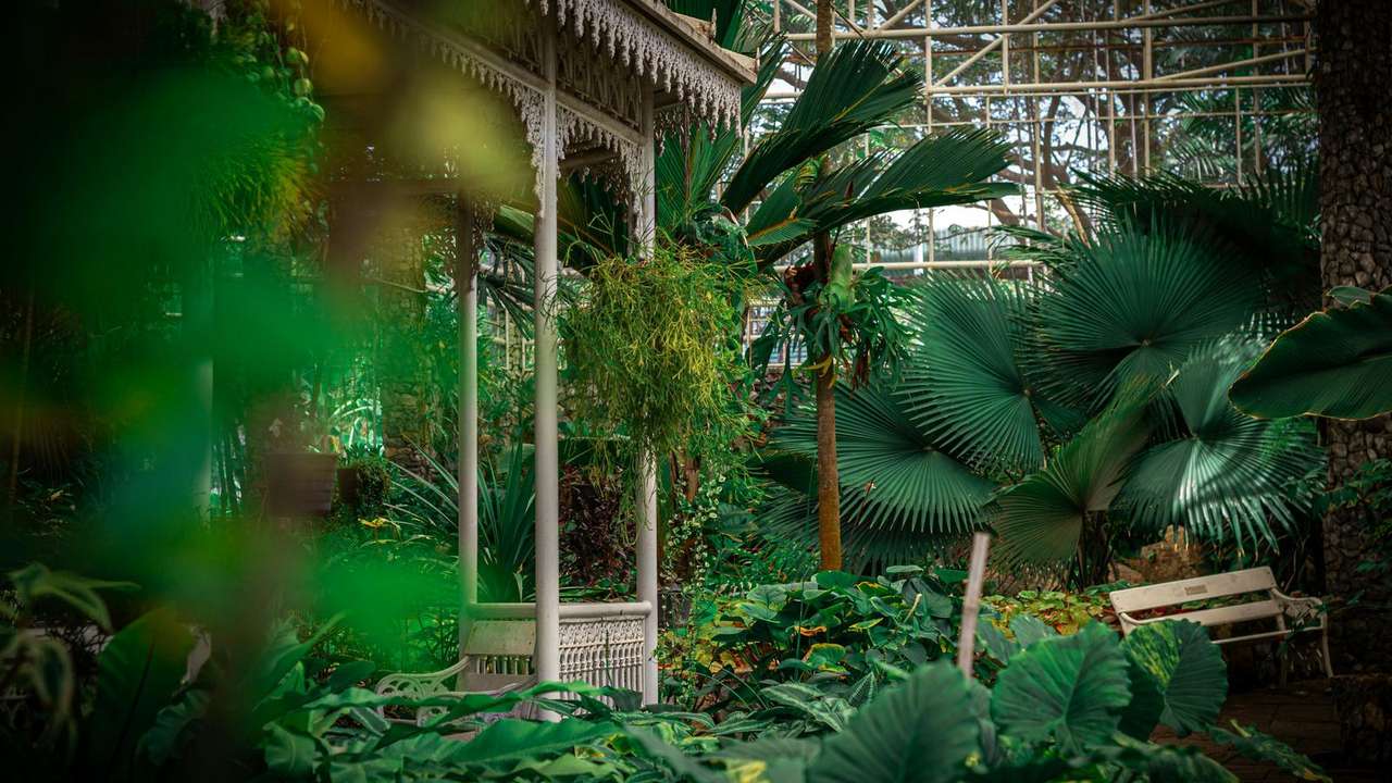 Secret Botanical Gardens: Hidden Beauty