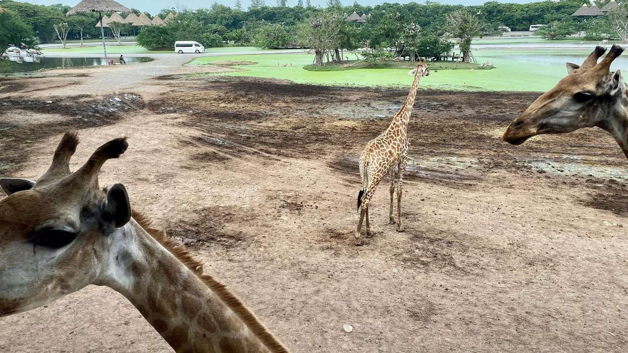 Fascinating Wildlife and Nature Experiences