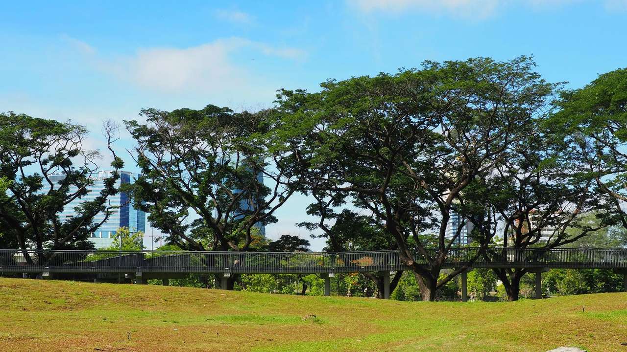 Parks and Green Spaces for Relaxation