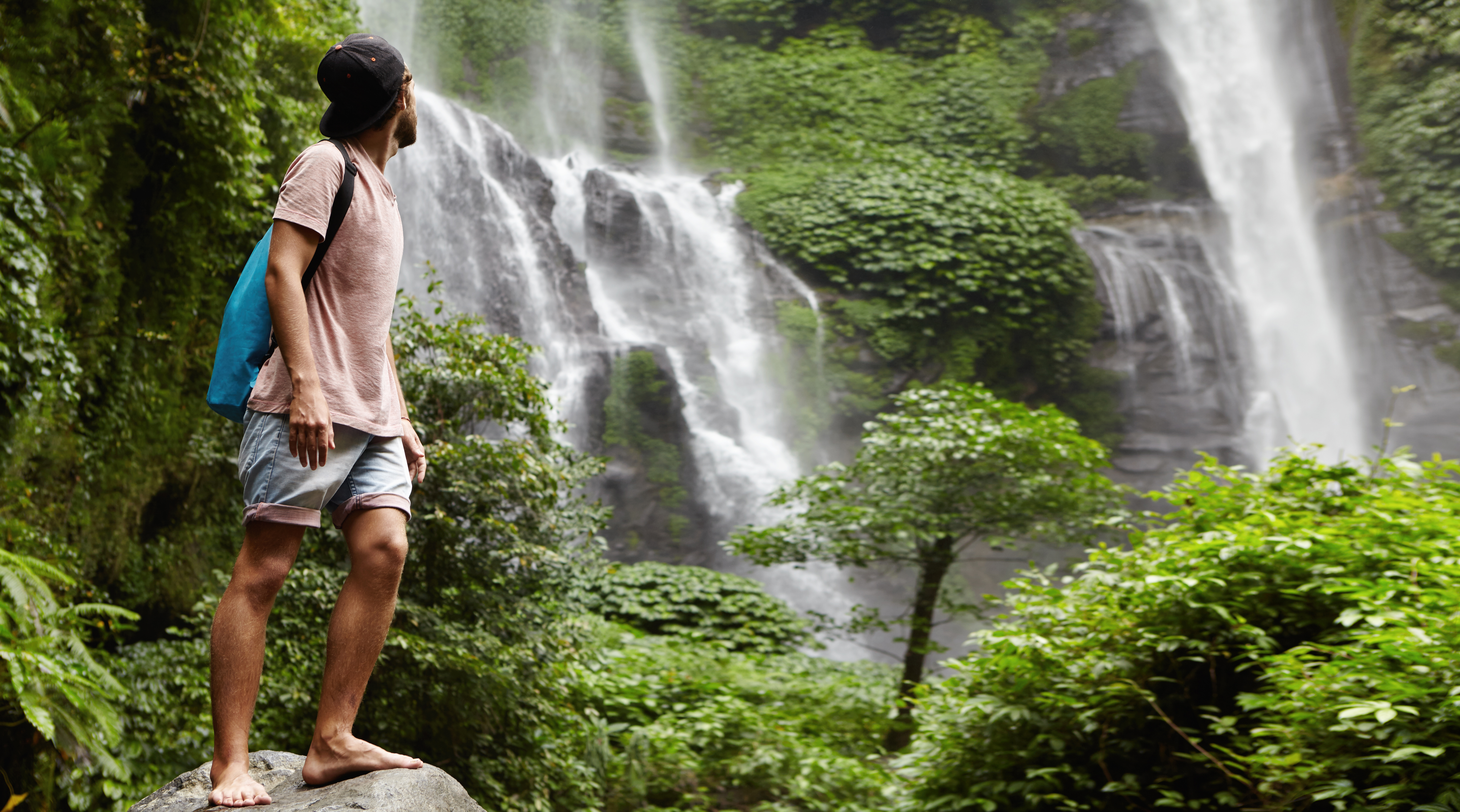 Explore the Bangkok Jungle