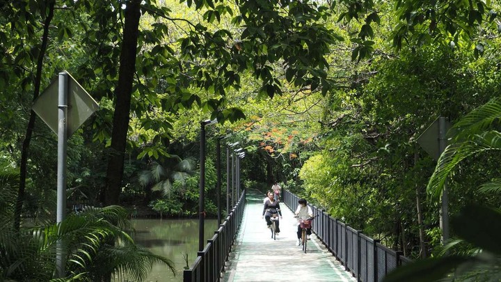 Bangkok's Best Picnic Spots