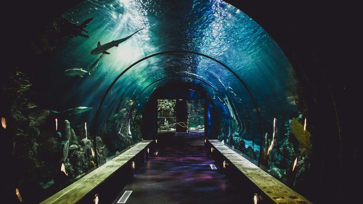 Best Kid-Friendly Indoor Attractions