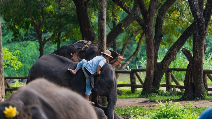 Top Nature Reserves and Wildlife Sanctuaries